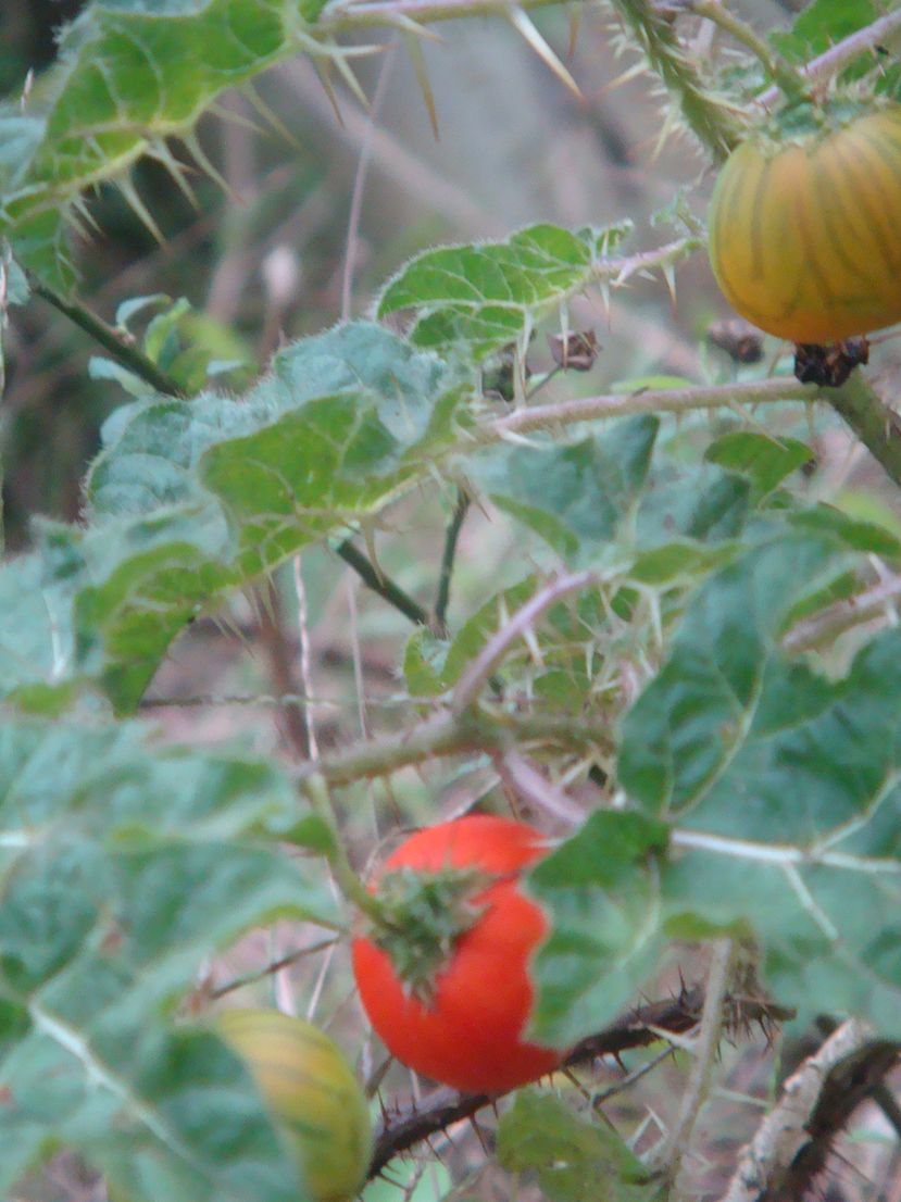 DSC07685_.jpg