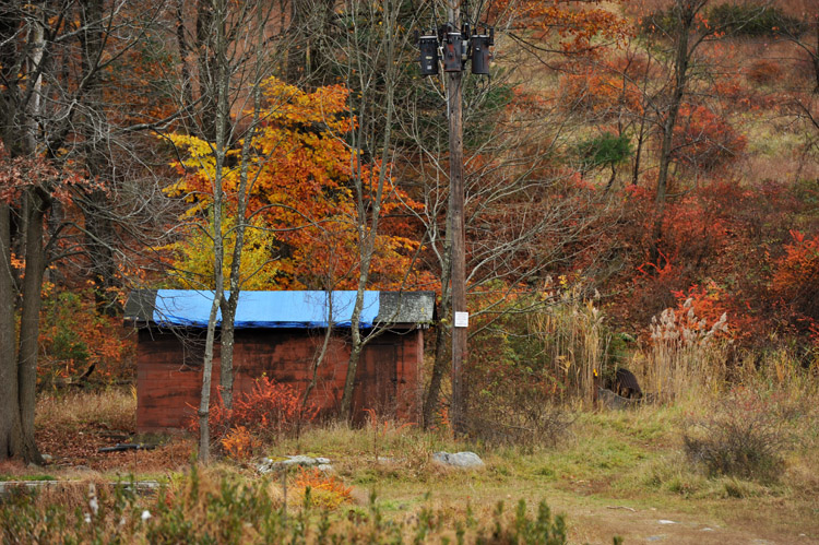 DSC_9206.jpg