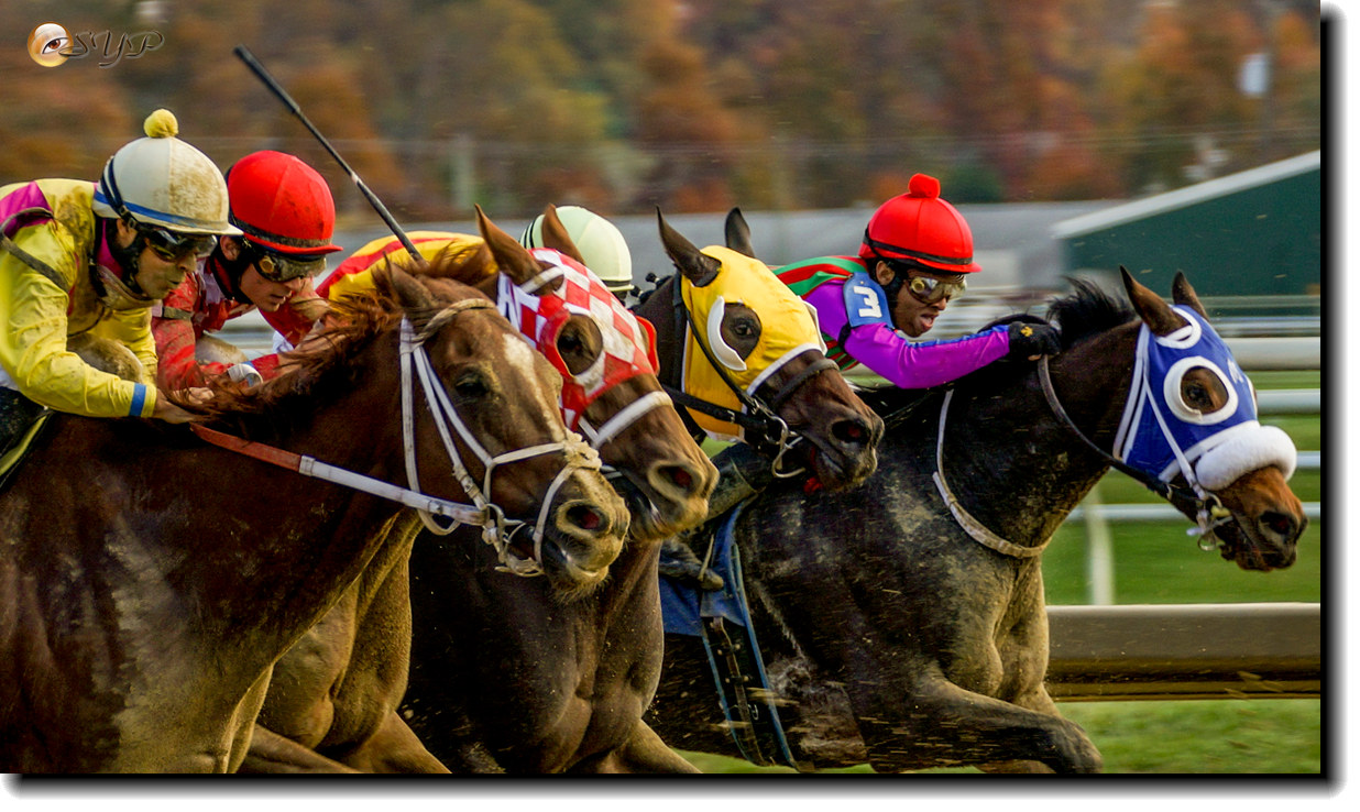 DSC08995a_.jpg