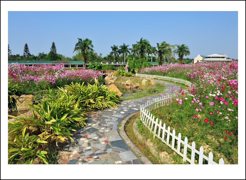 DSC_1469 - _conew1.jpg