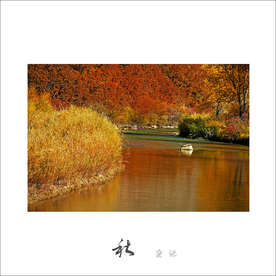 fj_DSD8801a.jpg