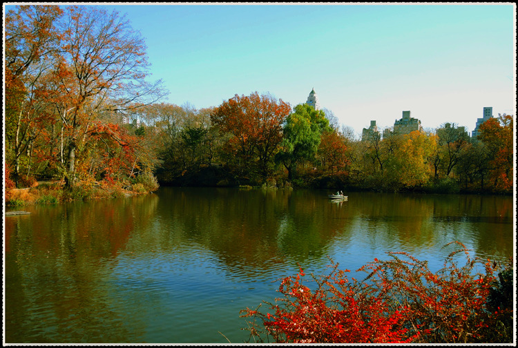 DSCN9975_����.jpg