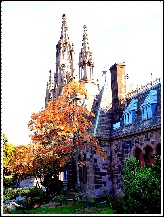 DSCN9755_����.jpg