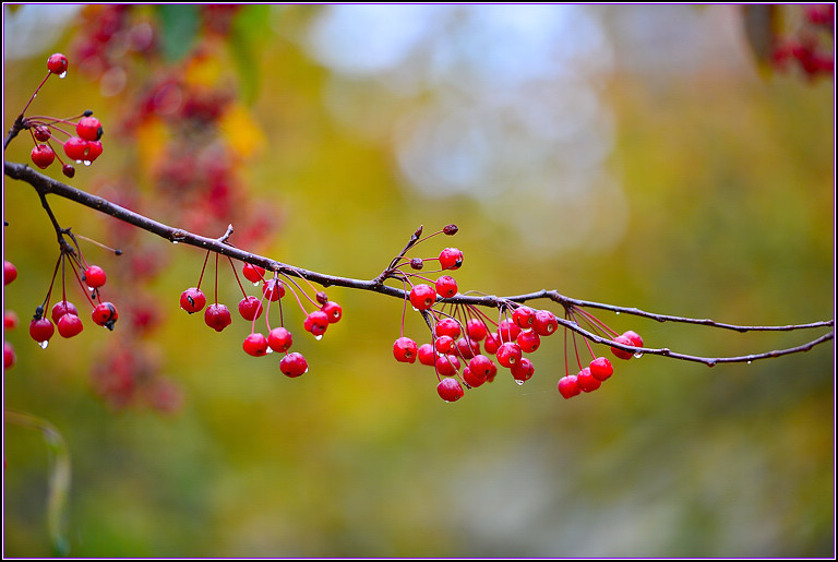 DSC_0673.jpg