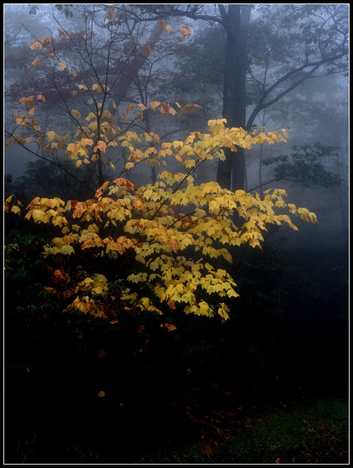 DSCN1092.jpg