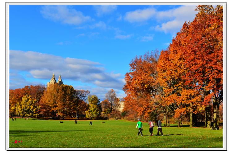 DSC_4199.jpg
