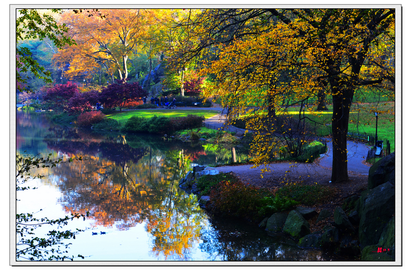 DSC_0783.jpg