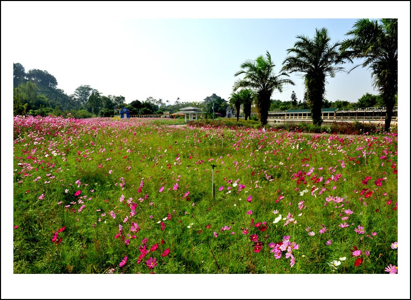 DSC_1479 - _conew1.jpg