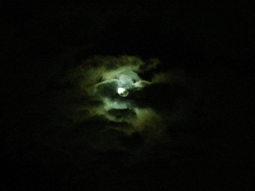 l1120584_conew1.jpg