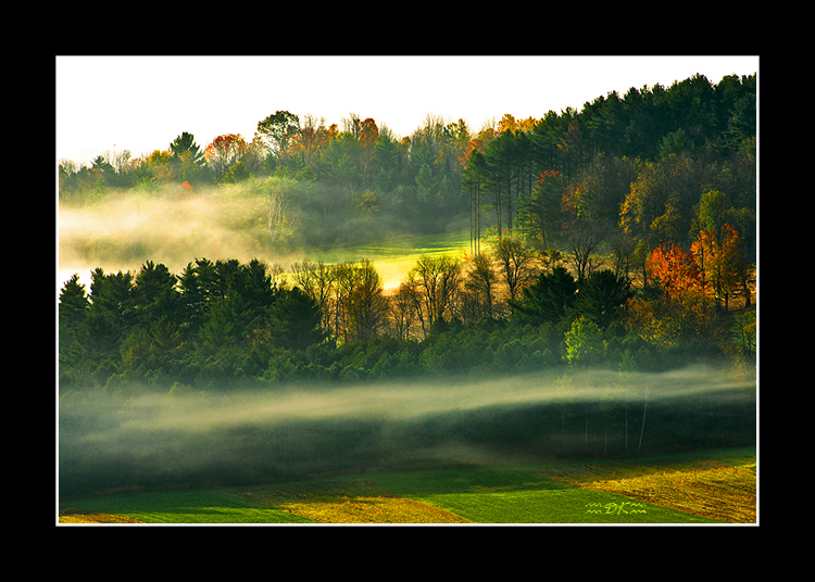 DSC_0429C1.jpg