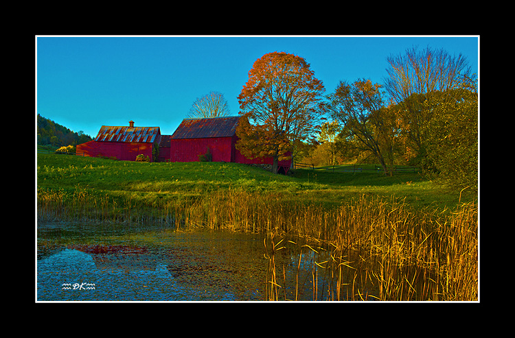 DSC_0034C1.jpg