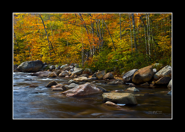 DSC_0603C1.jpg
