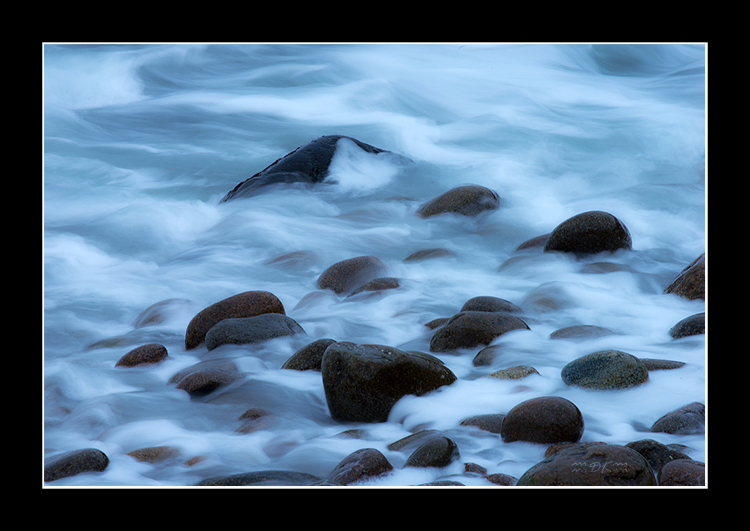 DSC_1773C1.jpg