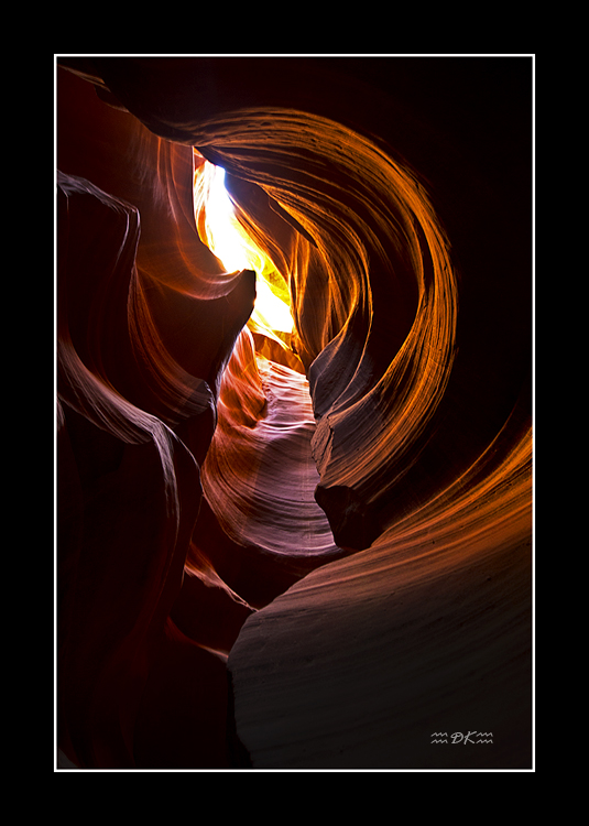 DSC_3009C.jpg