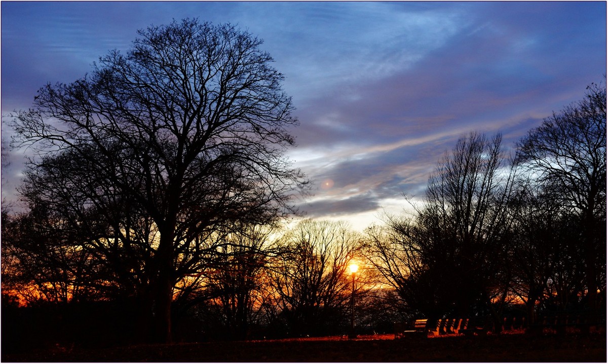 DSC_6674_1.jpg