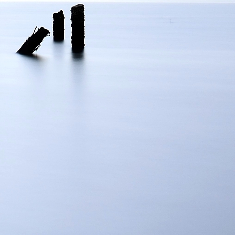 _DSC7485_01.JPG