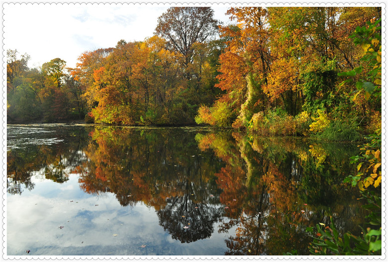 DSC_0318 - Copy.jpg