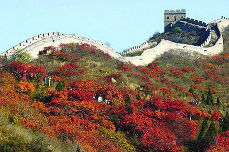 20101126023036725.jpg