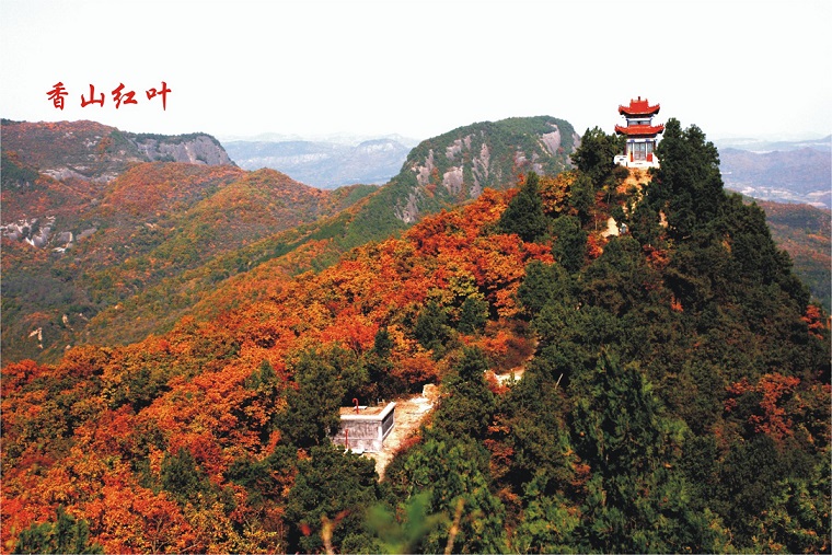 20111019165422685.jpg