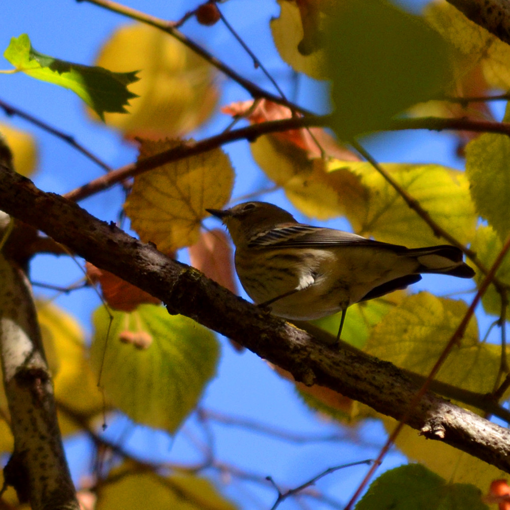 DSC_6120_02.jpg