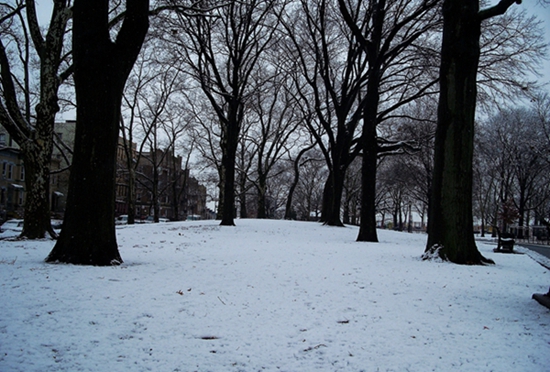 100_6617.jpg