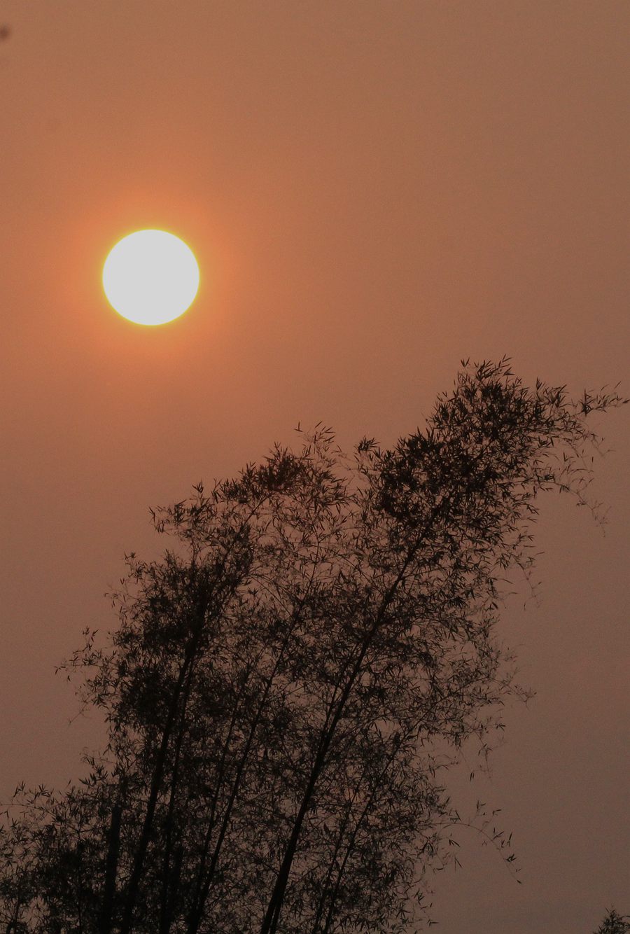 IMG_4253.JPG
