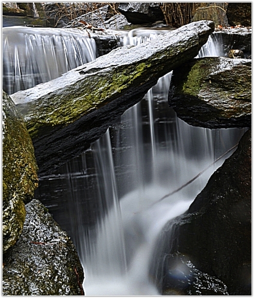 _DSC8988.JPG