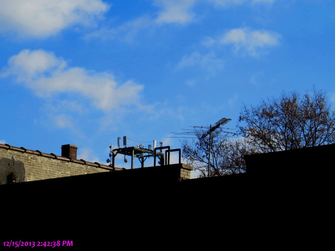 IMG_0001_6236.jpg