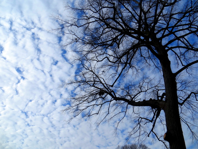 IMG_0001_6107.jpg