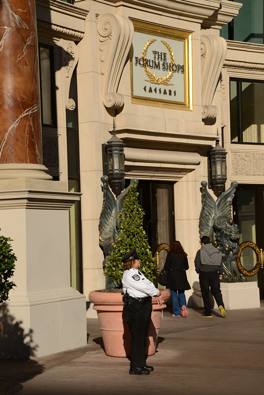 Thanksgiving at Las Vegas 2013 269_.jpg