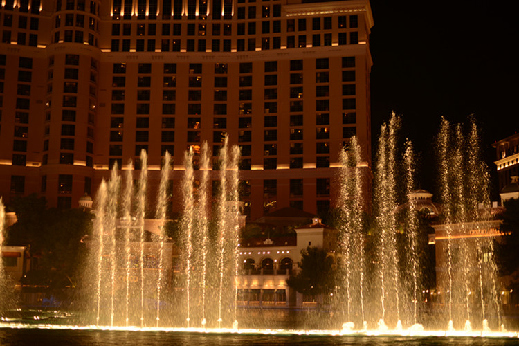 Thanksgiving at Las Vegas 2013 593_.jpg