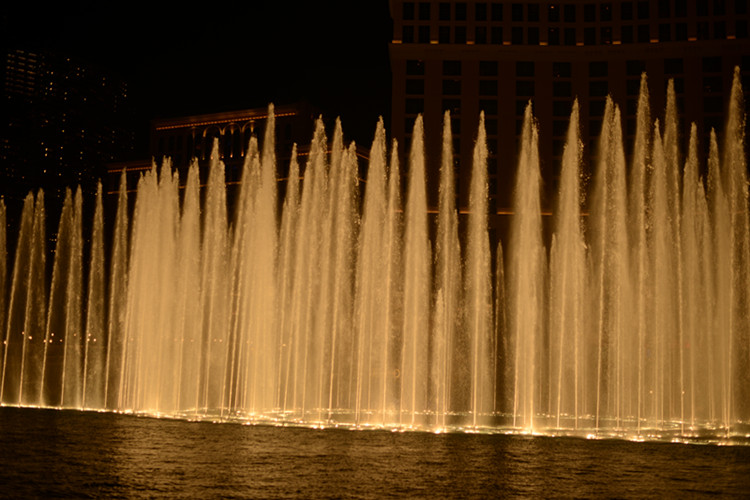 Thanksgiving at Las Vegas 2013 625_.jpg