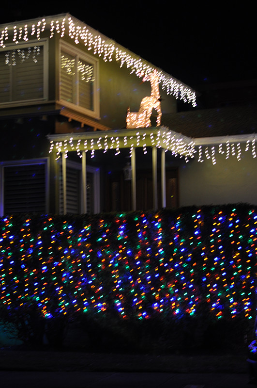 Christmas -- 2013 023_.jpg