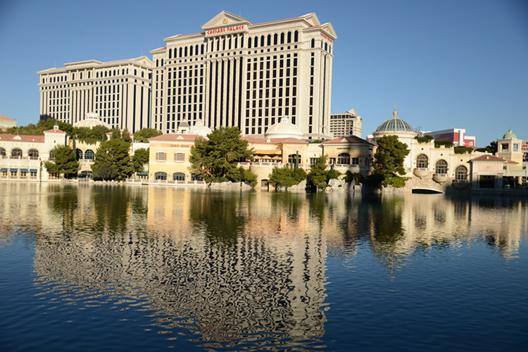 Thanksgiving at Las Vegas 2013 233_.jpg