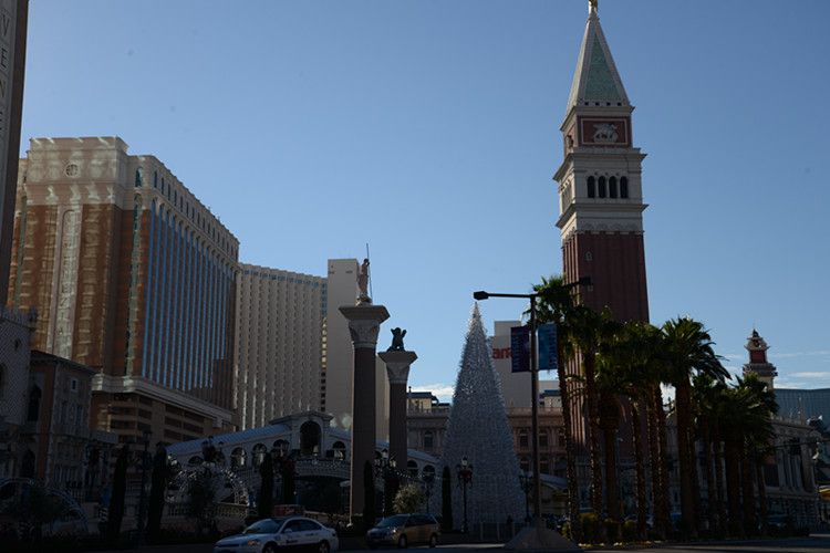 Thanksgiving at Las Vegas 2013 287_.jpg