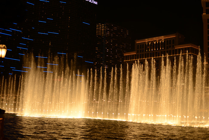 Thanksgiving at Las Vegas 2013 651_.jpg