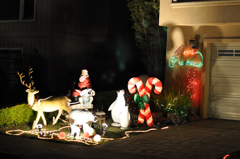 Christmas -- 2013 006_.jpg