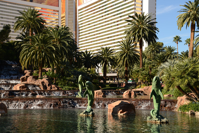 Thanksgiving at Las Vegas 2013 283_.jpg