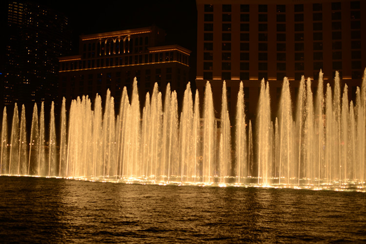 Thanksgiving at Las Vegas 2013 623_.jpg