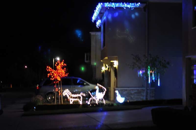 Christmas -- 2013 039_.jpg