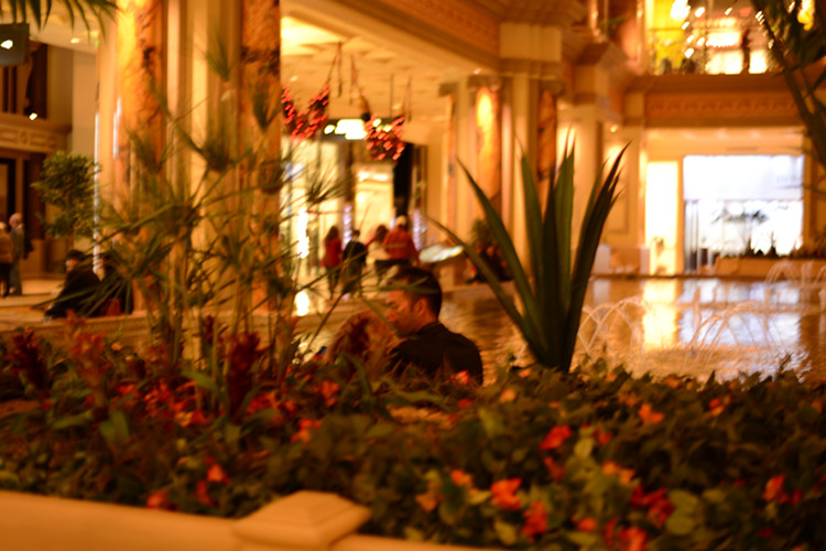 Thanksgiving at Las Vegas 2013 184_.jpg