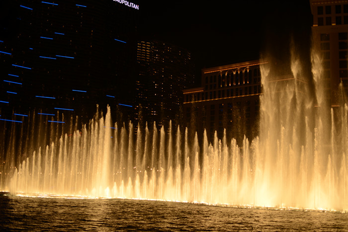 Thanksgiving at Las Vegas 2013 646_.jpg