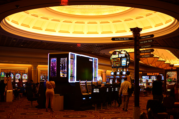 Thanksgiving at Las Vegas 2013 149_.jpg