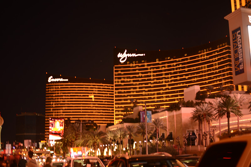 Thanksgiving at Las Vegas 2013 044_.jpg