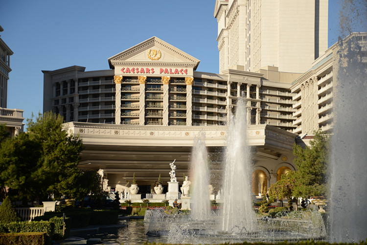 Thanksgiving at Las Vegas 2013 222_.jpg