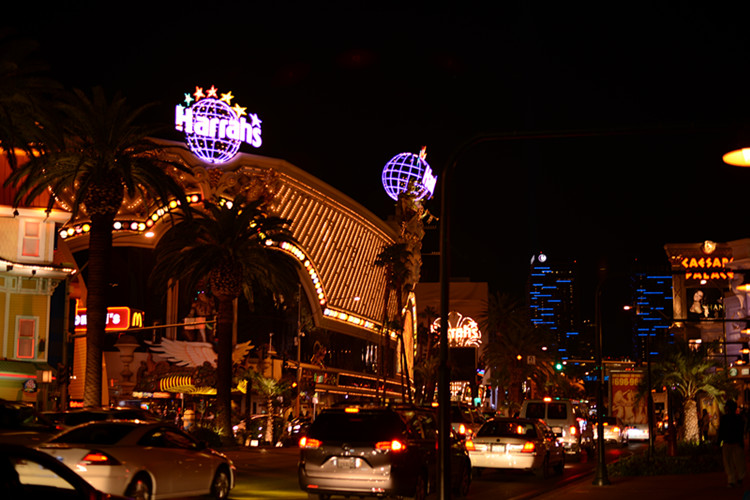 Thanksgiving at Las Vegas 2013 094_.jpg