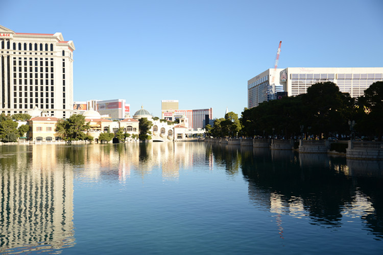 Thanksgiving at Las Vegas 2013 242_.jpg
