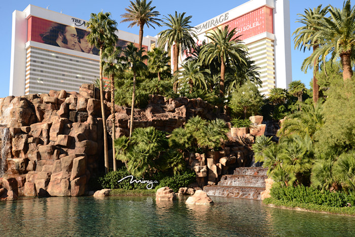 Thanksgiving at Las Vegas 2013 281_.jpg