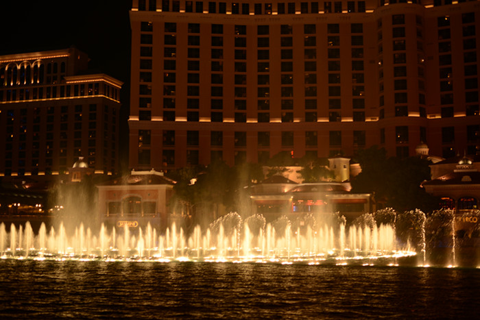 Thanksgiving at Las Vegas 2013 638_.jpg