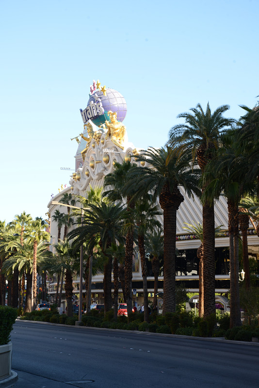 Thanksgiving at Las Vegas 2013 259_.jpg